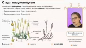 Щелчок к ОГЭ 2024 | БОТАНИКА: споровые и семенные растения