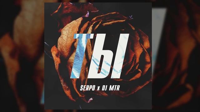 SERPO x DJ MTR - Ты / OFFICIAL AUDIO смотреть онлайн