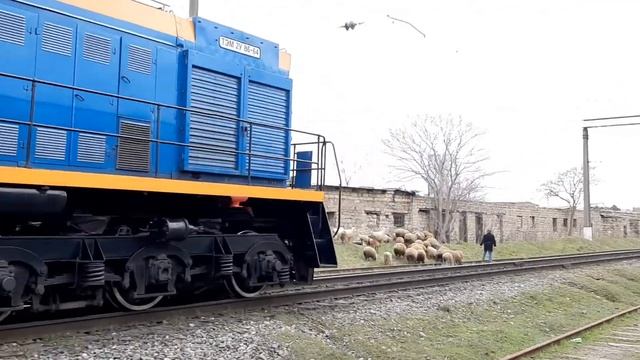 Маневровые тепловозы ТЭМ2М-046 + ТЭМ2У-8664 смотреть онлайн