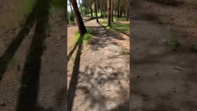 Kugoo Kirin V1 Pro, великом доволен есть нюансы.