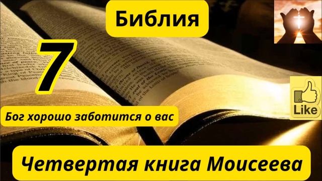 цифры 7 смотреть онлайн