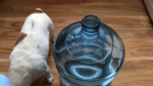 Как открыть девятнадцатилитровую бутыль воды