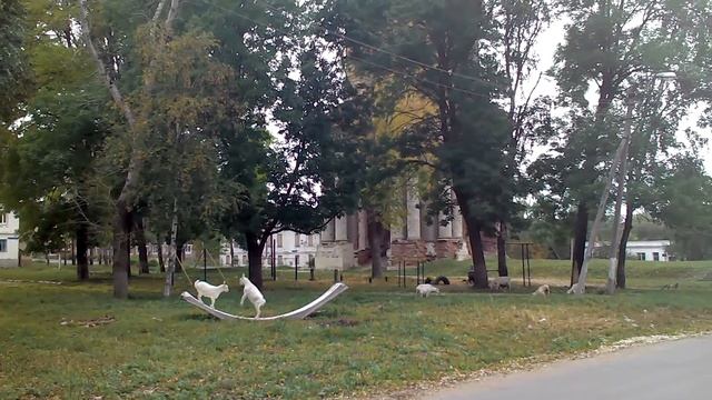 Люблю Венёв! смотреть онлайн