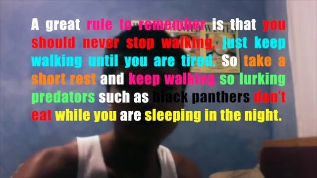 The Rules of The Jungle (ESL Assignment) смотреть онлайн