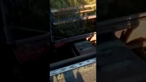 Зерноуборочный комбайн ПРОСТОР-ПН100