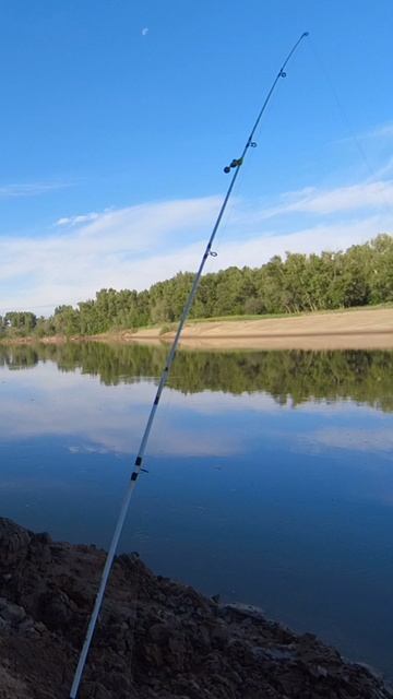 Поклевка сазана смотреть онлайн
