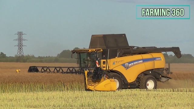 Harvest 2021 | New Holland CX8.90 Combine Harvester