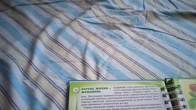 Энциклопедия живой природы. 1 сезон: Растения. 16 серия: Корень жизни - женьшень.