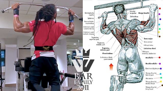 Bodybuilding Exercises: How To Build Cobra BACK смотреть онлайн