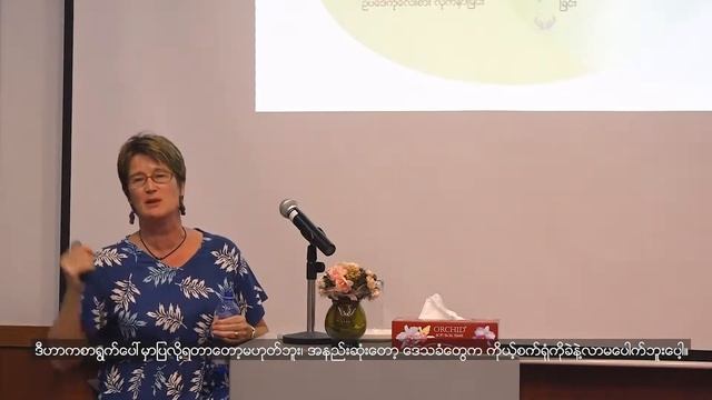 On Corporate Social Responsibility in Myanmar by Vicky Bowman смотреть онлайн