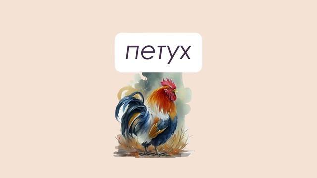 "Переведи слова за 3 секунды - на английский. Тема "Домашние животные". Часть 2. смотреть онлайн