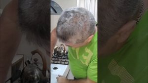 Ремонт варочной газовой панели "Дарина"