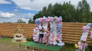 гендер пати день 89036026331