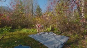 Одна в лесу