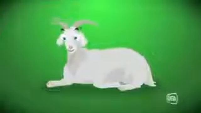 Цыпленок Pio смотреть онлайн