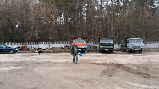 Трудовые будни Mina Din Chisineu#5