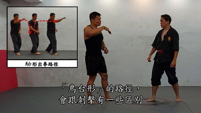 這不是拳擊!形意拳的鳥台形(一)，拳打就是捕食屈伸 Ft.@kingoffist A unique punch in XingYiQuan│【傳武概念講堂】形意拳八卦掌│健棋道館 смотреть онлайн