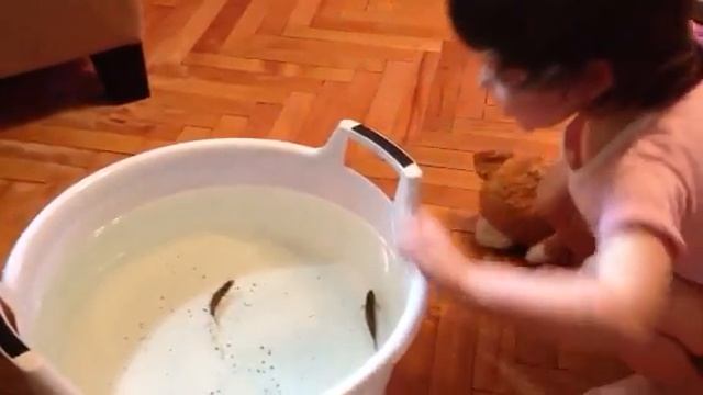 Рыбы смотреть онлайн