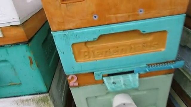 исследования по зимней обработке пчел от клеща, чтобы весной не обрабатывать - часть 1, 30.01.2025 смотреть онлайн