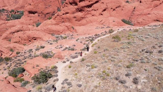 WE WENT HIKING AT RED ROCK CANYON!!! смотреть онлайн
