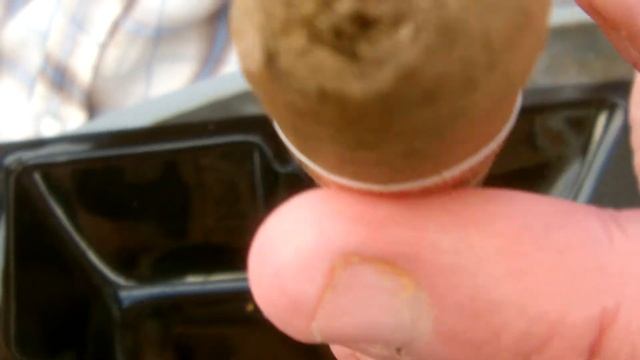 Romeo y Julieta Petit Churchill Cigar PART 2 смотреть онлайн