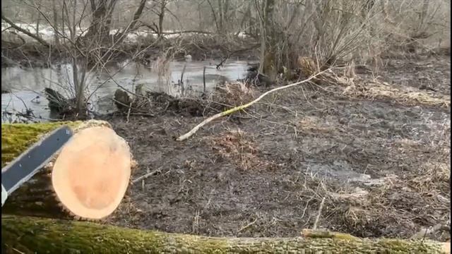 пил в деревне shtihl vs husqvarna смотреть онлайн