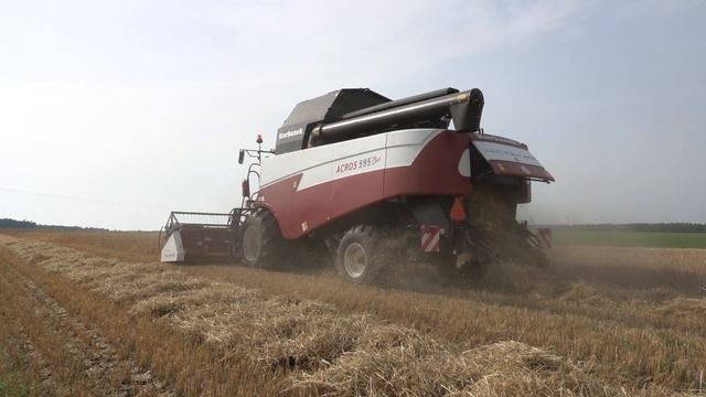 Rostselmash Acros 595 Plus || Nowość pierwszy wyjazd || Jęczmień ozimy 2021 || смотреть онлайн