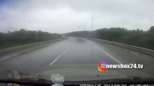 Медведь на трассе Хабаровск − Владивосток