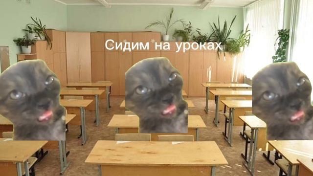 Делала 1 час. #подпишись #пжврек #лп #мемы #коты #пжактив #гдеактив #ястараюсь #школа #пятёрочка смотреть онлайн