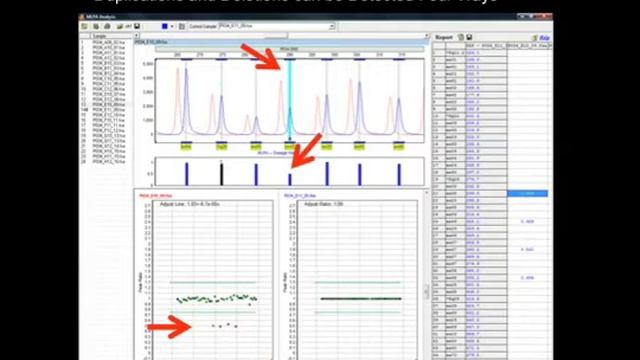 MLPA Analysis with GeneMarker® Software Part 2 смотреть онлайн
