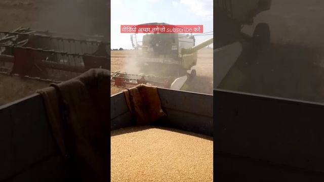 Indian farmer 🌾🇮🇳🌾#viral #viralshorts #shorts#patelfarmer смотреть онлайн