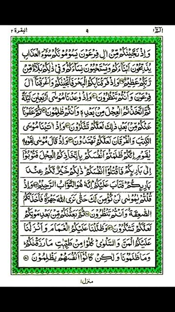 Surah Baqarah HD || surah baqarah (Ayat 54 to 57) #shortsfeed #surahbaqarah #islamicpost #shorts смотреть онлайн