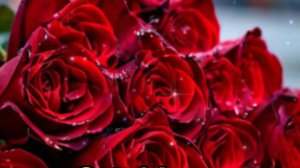 Поздравление с днем святого валентина 💕