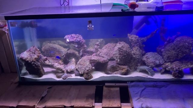 200g tank 1-6-21 смотреть онлайн