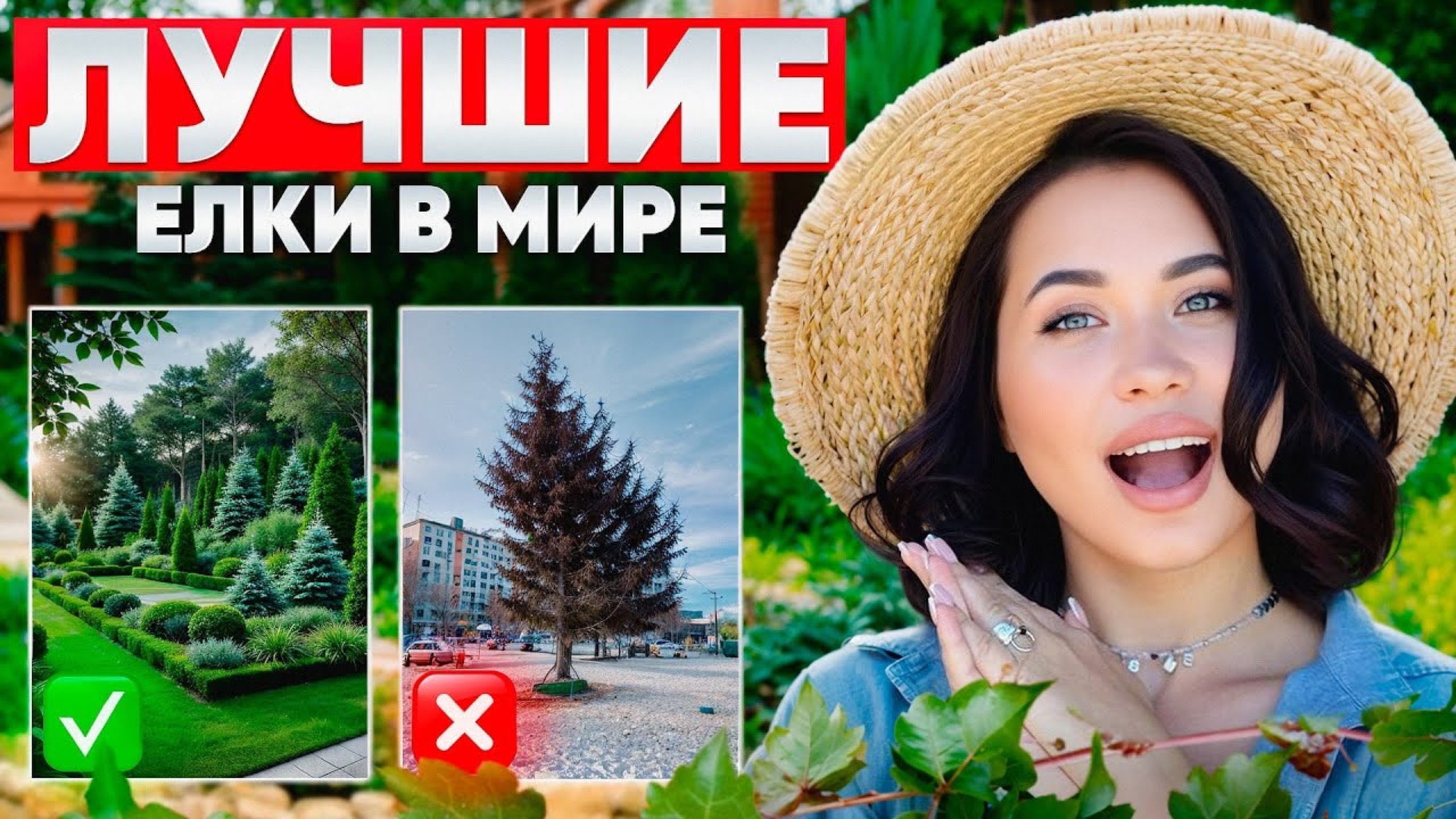 Посади эти хвойные на участок и ты его не узнаешь! Невероятная красота смотреть онлайн