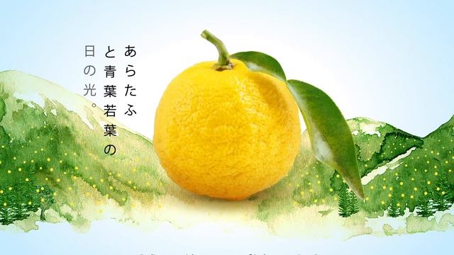 MARIGOLD PEEL FRESH Select Yuzu - Harvest the Bliss of Premium Yuzu смотреть онлайн