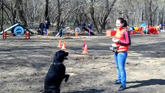 Цезарь и Вика смотреть онлайн