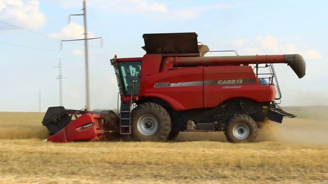 Case 5088 смотреть онлайн