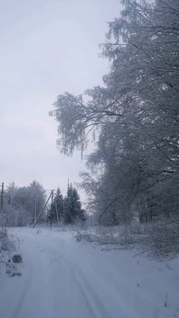 Белый День - Валенки смотреть онлайн