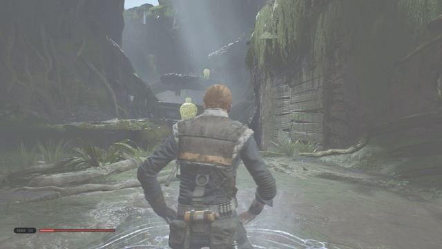 Star Wars Jedi: Fallen Order - Дикая природа Кашиика [15/25]