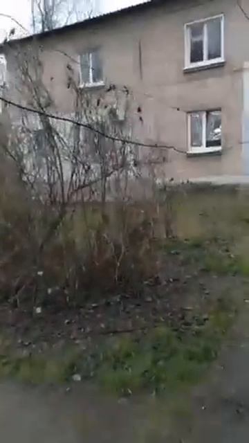 Опасные провода, Шевчик, "ХЗП" смотреть онлайн