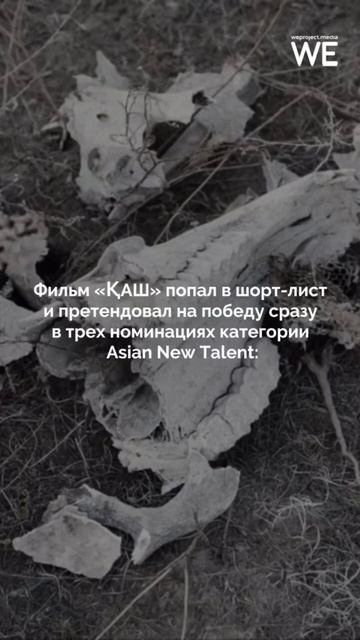 Айсултан Сеитов победил в номинаци «Лучший режиссер» в Шанхае #weproject #казахстан #кино #режиссер смотреть онлайн