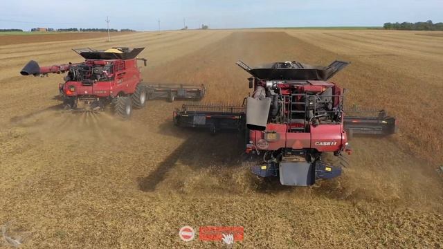 Sklizeň sóji 2021 - Case IH Axial Flow 9250 & 9240 + MacDon FD 140 & D75 смотреть онлайн