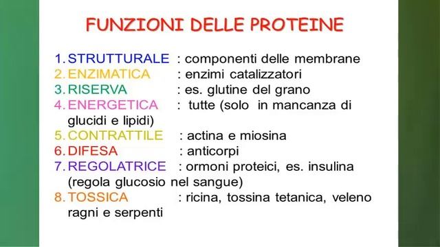 Biologia, lezione 4 смотреть онлайн