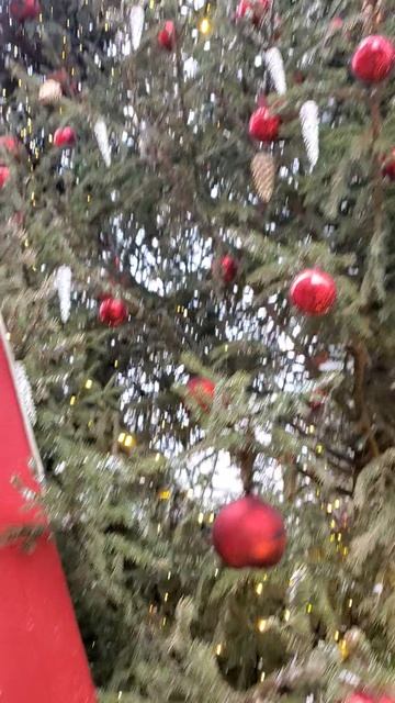 Арбат китайский новый год в Москва 20250129 смотреть онлайн