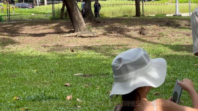 방콕이 이렇게 예쁜 도시였나요! 🇹🇭ㅣ취향 담은 방콕 여행ㅣ에어비앤비ㅣBangkok VLOGㅣASMR смотреть онлайн