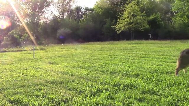 Charm run outs may 15 2022 смотреть онлайн