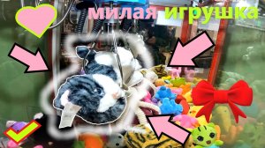 ВЫИГРАЛ милую КОШКУ в АВТОМАТЕ-ХВАТАЙКЕ нещедрого владельца!!! Выиграл ТОП приз в ХВАТАЙКЕ!