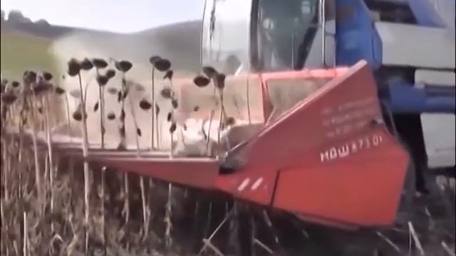 24 часа 09 02 2017 Наш район посетили мажилисмены смотреть онлайн