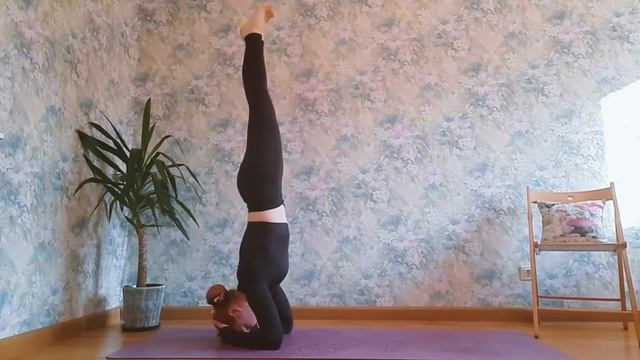 7 шагов к ширшасане.  Выход в ширшасану